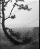 No Thumbnail but may still be an Image